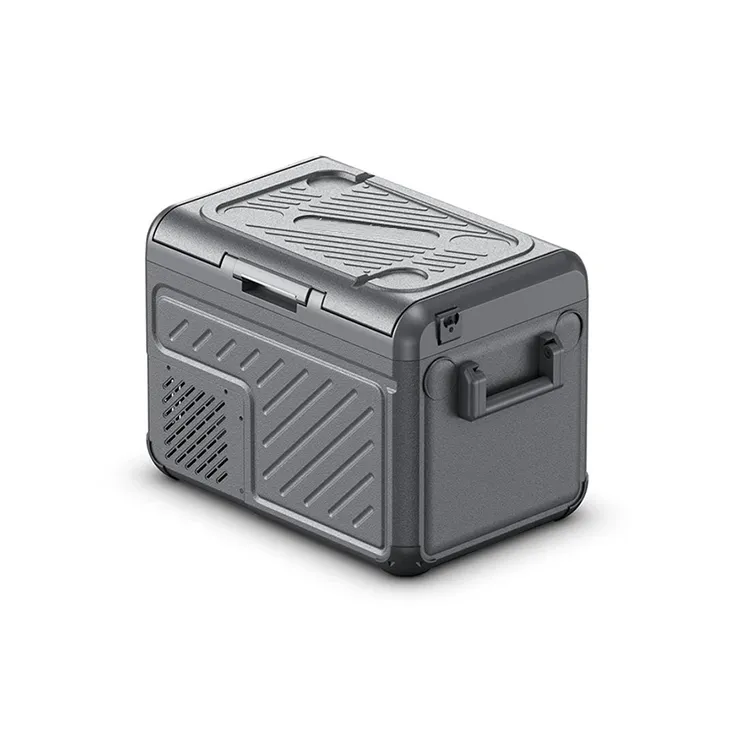 Mini przenośna lodówka na kemping