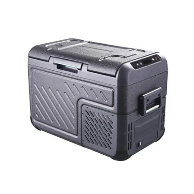 Zamrażarza lodówki z drogi